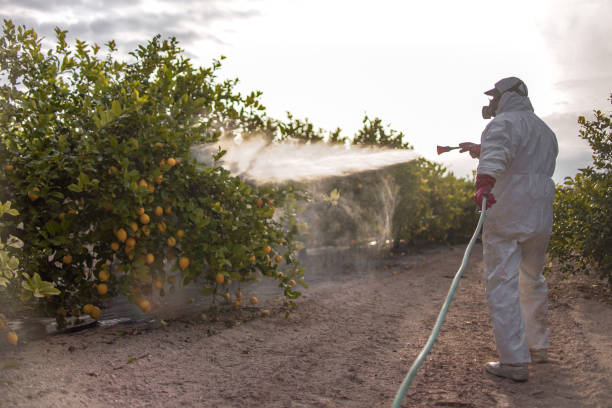 Best Pest Control Near Me  in East Bernard, TX